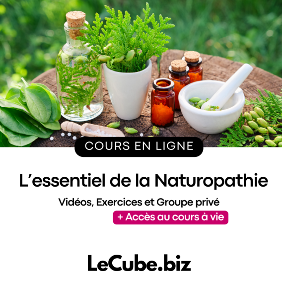 formation naturopathe