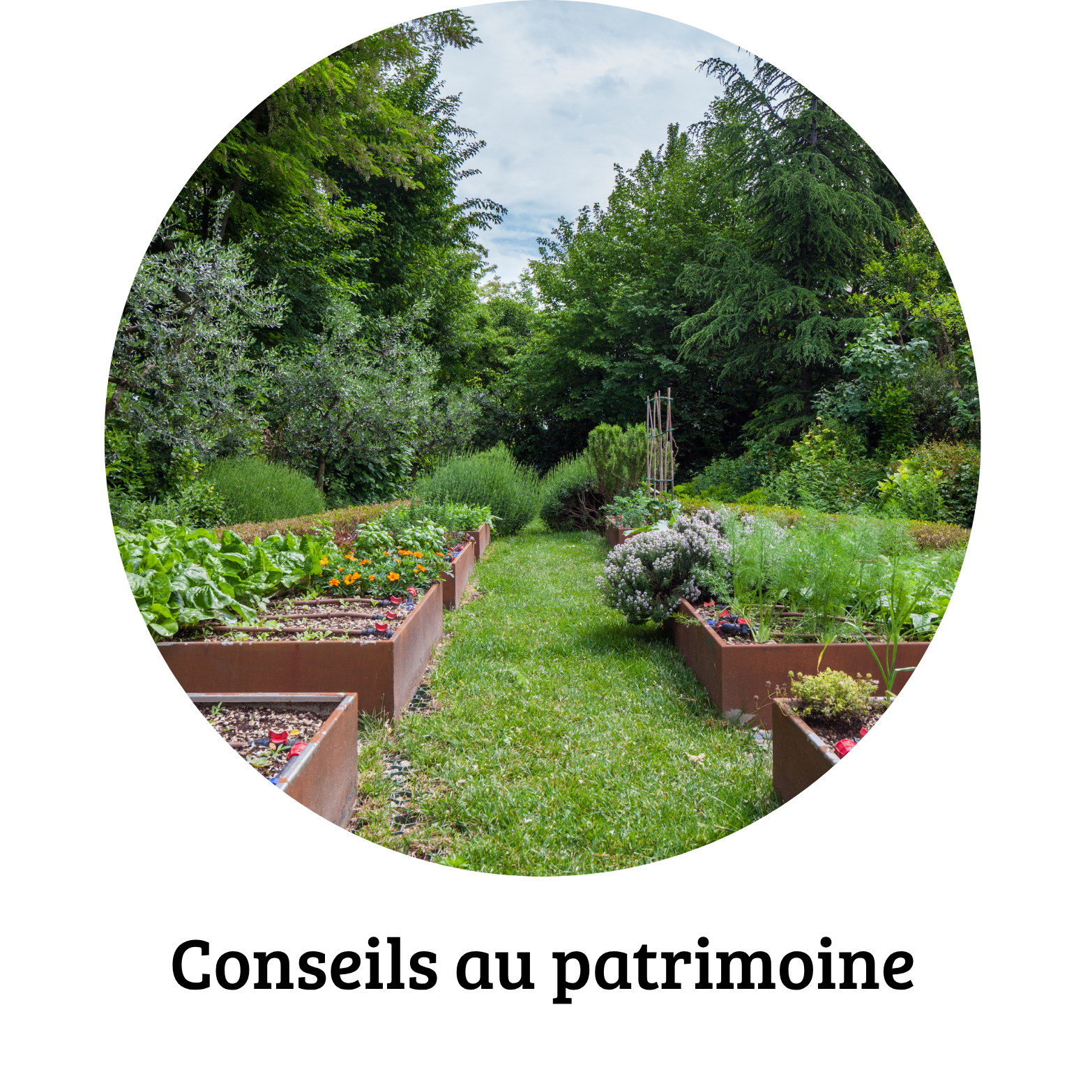 naturopathe formation