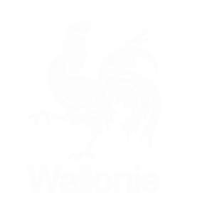 logo wallonie