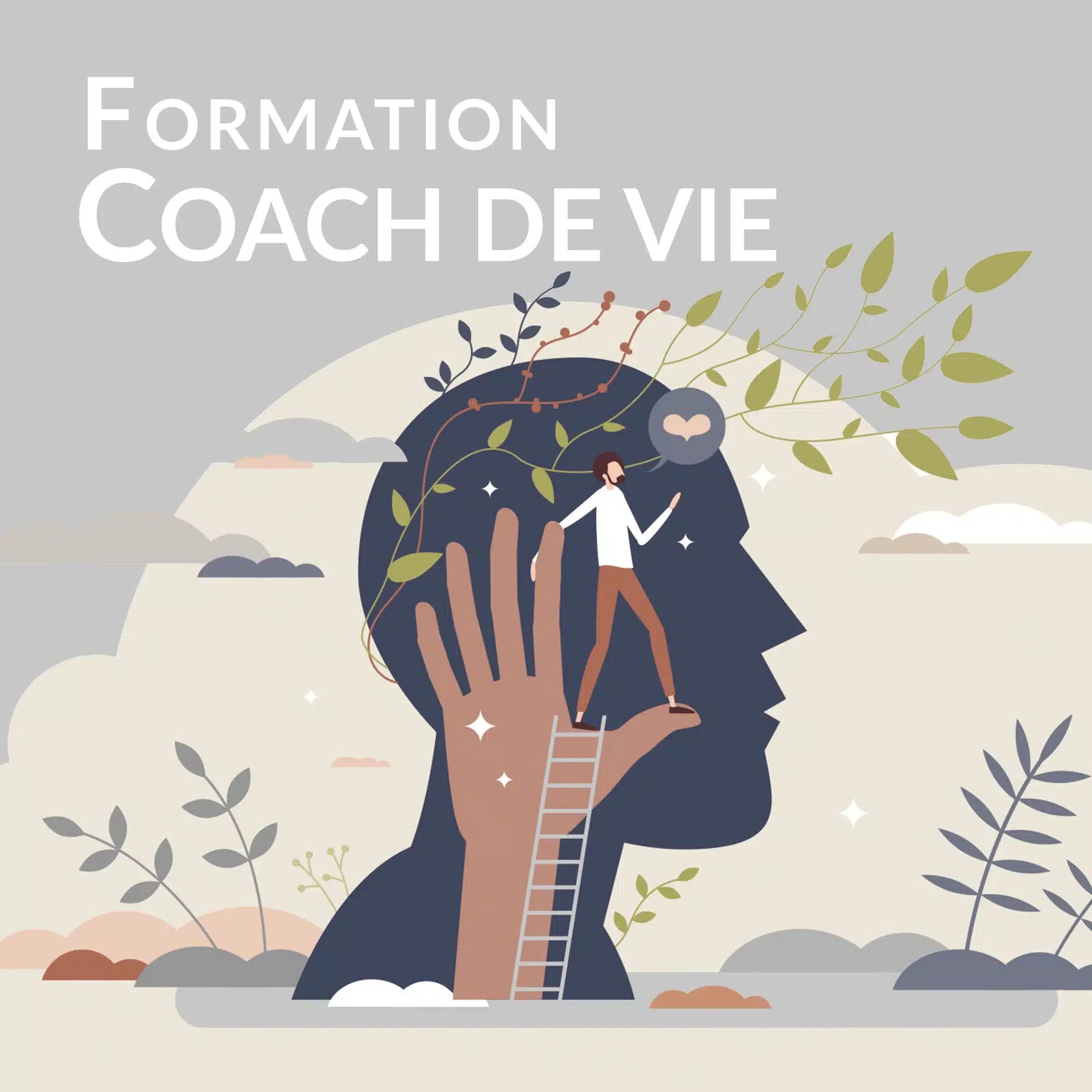 coach de vie formation