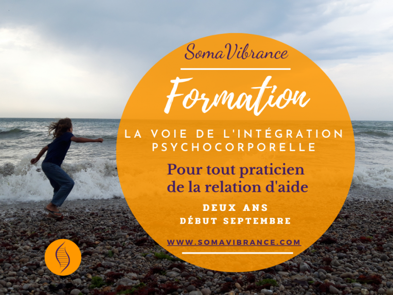 formation psychothérapeute
