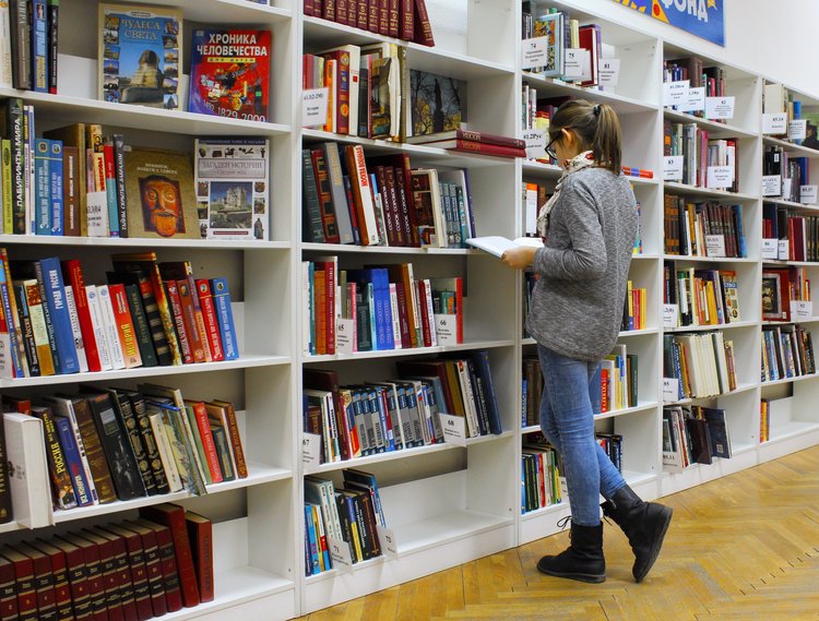 formation bibliothécaire