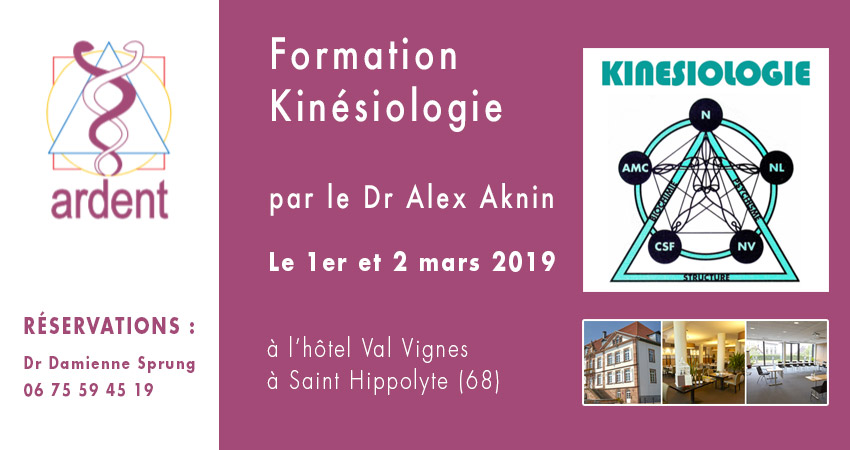 formation kinésiologie